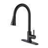 Single Handle High Arc Brushed Nickel Pull out Kitchen Faucet,Single Level Stainless Steel Kitchen Sink Faucets with Pull down Sprayer - Matte Black