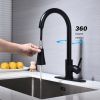 Single Handle High Arc Brushed Nickel Pull out Kitchen Faucet,Single Level Stainless Steel Kitchen Sink Faucets with Pull down Sprayer - Matte Black