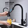 Single Handle High Arc Brushed Nickel Pull out Kitchen Faucet,Single Level Stainless Steel Kitchen Sink Faucets with Pull down Sprayer - Matte Black